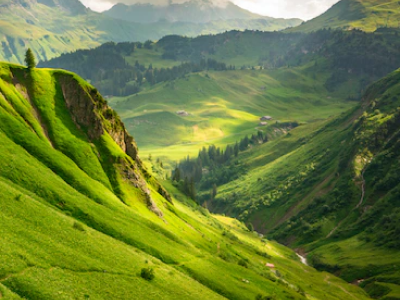 优德88(中国区)最新官方网站